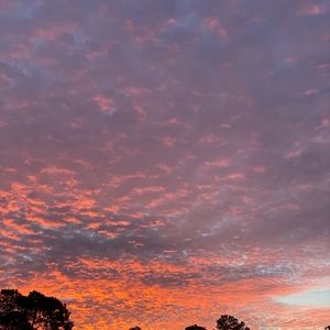 Meet your Posher, Joellyn